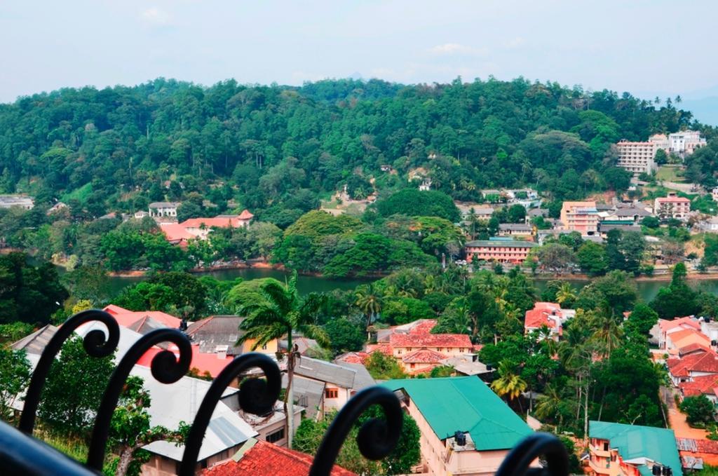 36 Bed & Breakfast Kandy Zewnętrze zdjęcie